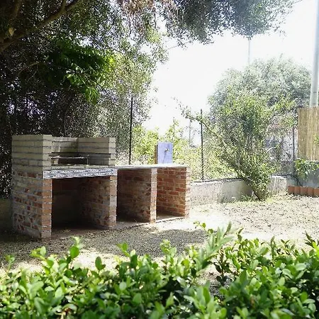 Palici גיארדיני נאקסוס