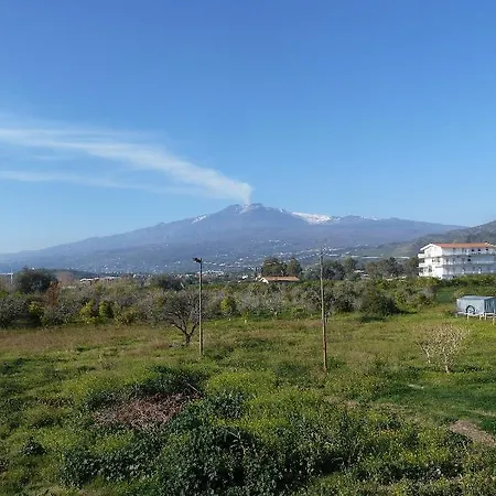 Bed & Breakfast Palici 3*